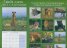 Calendar 2015: Big Cats