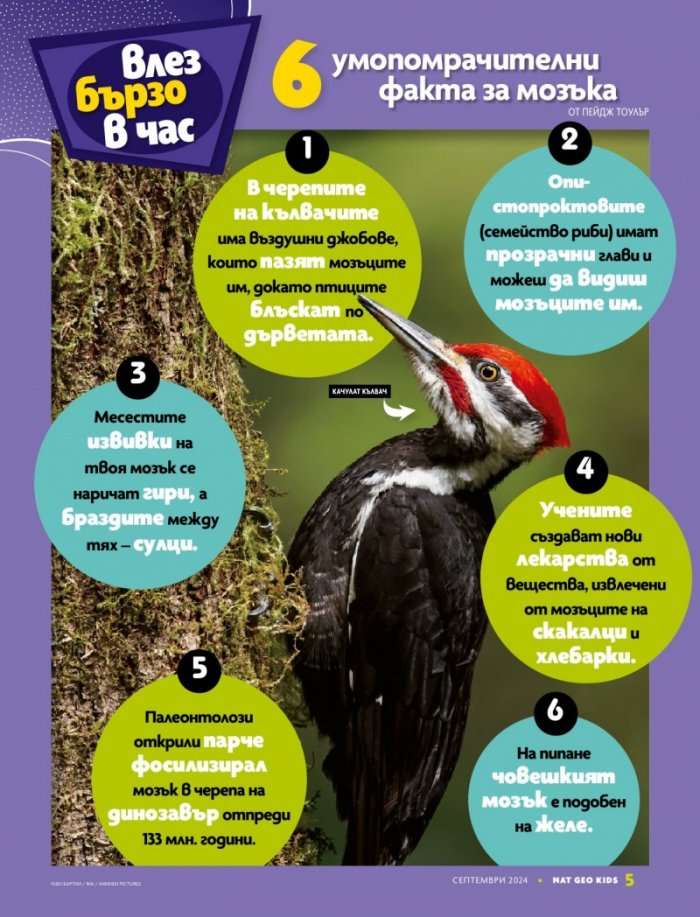 National Geographic KIDS България Септември/2024