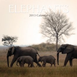 Calendar 2013: Elephants
