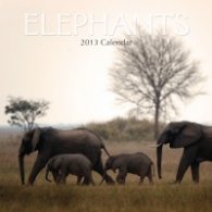 Calendar 2013: Elephants