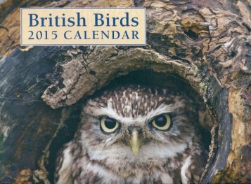 Calendar 2015: British Birds