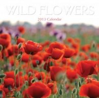 Calendar 2013: Wild Flowers