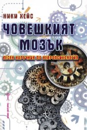Човешкият мозък - лесен наръчник по невропсихология
