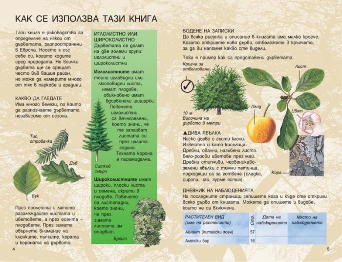 Дърветата. Справочник на наблюдателя