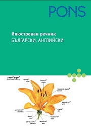 Илюстрован речник Български, Английски