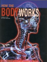 How the Body Works