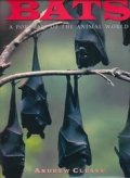 Bats: A portrait of the animal world