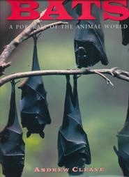 Bats: A portrait of the animal world