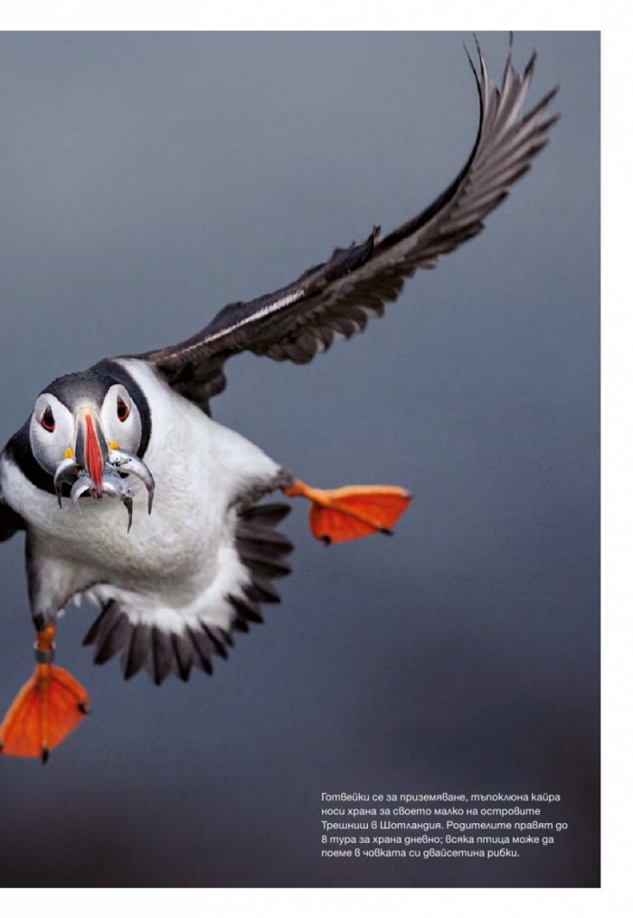 National Geographic 6/2014