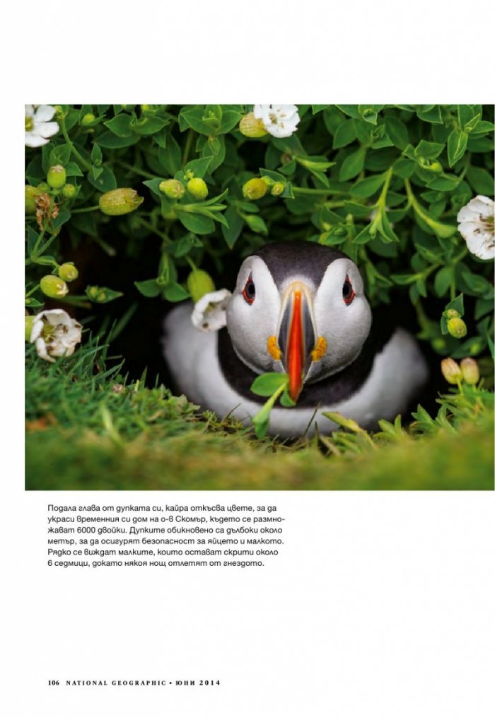 National Geographic 6/2014