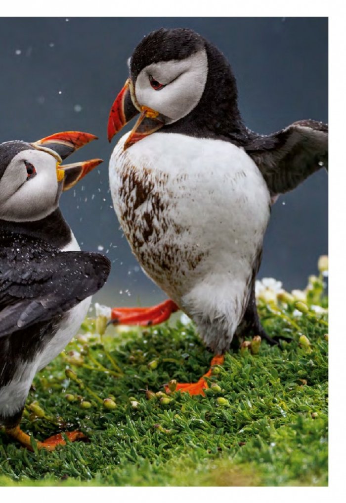 National Geographic 6/2014