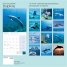 Calendar 2018: Dolphins